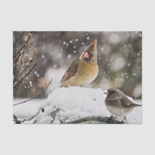 Female Cardinal Bird Wildlife In Snow Winter Tissue Paper