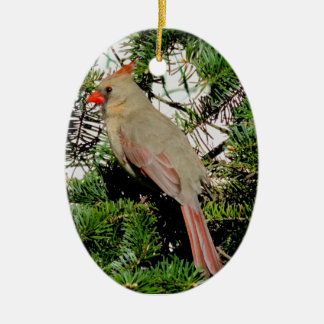 Female Cardinal Christmas Ornament