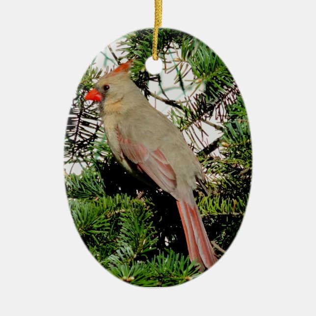 Female Cardinal Christmas Ornament (Front)