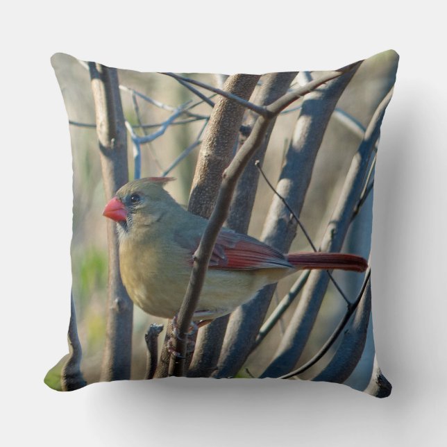 Female Cardinal Cushion (Front)
