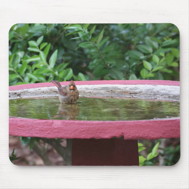 Female Cardinal in Birdbath Mouse Mat (Front)