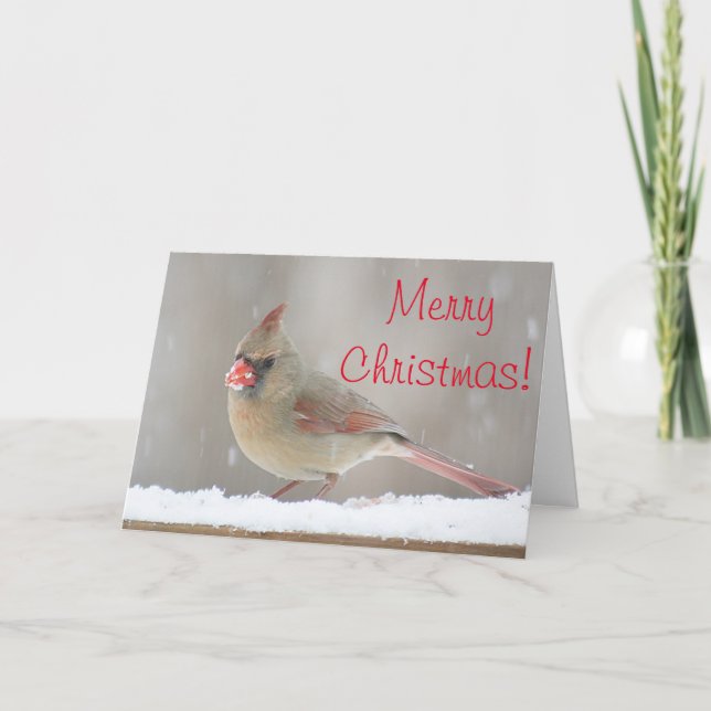 Female cardinal photo holiday card (Front)