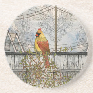 Female Cardinal Sandstone Coaster