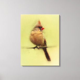 Female Cardinal Songbird Canvas Print