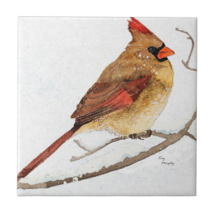 Female Cardinal Tile