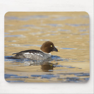 Female common Goldeneye duck Mouse Mat