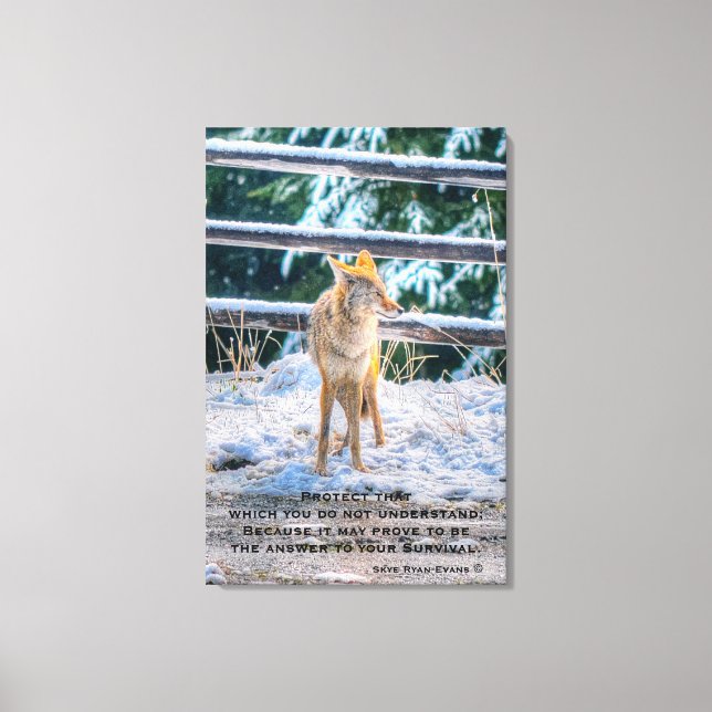 Female Coyote and Snow Wildlife Photo Art and Poem Canvas Print (Front)