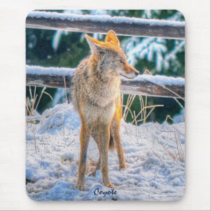 Female Coyote Hunting in Snow #Gift Mousepad