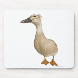 Female Crested Duck, 3 years old Mouse Mat