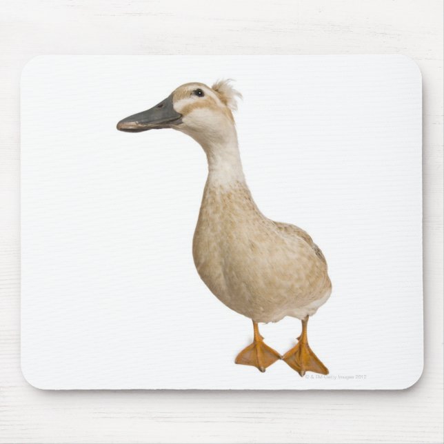 Female Crested Duck, 3 years old Mouse Mat (Front)