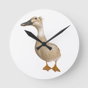Female Crested Duck, 3 years old Round Clock