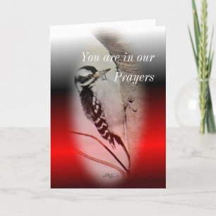 Female Downy Woodpecker- customise any occasion Card