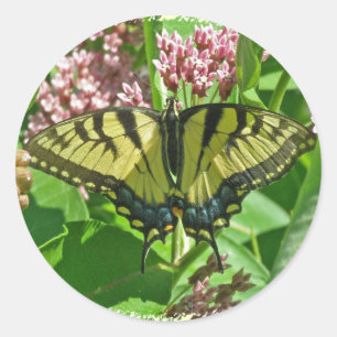 Female Eastern Tiger Swallowtail Butterfly Series Classic Round Sticker