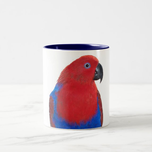 Female Eclectus 11oz Two-Tone Coffee Mug (Center)