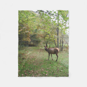 Female Elk in autumn field Fleece Blanket