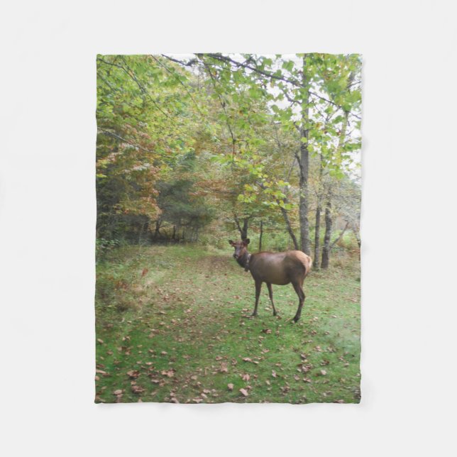 Female Elk in autumn field Fleece Blanket (Front)