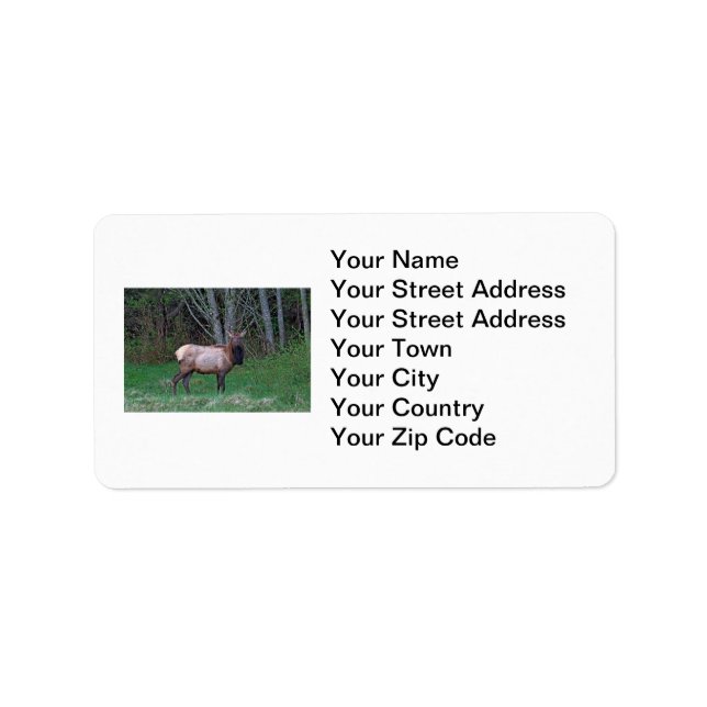 Female Elk Picture Label (Front)