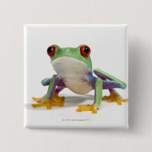 Female frog 2 15 cm square badge