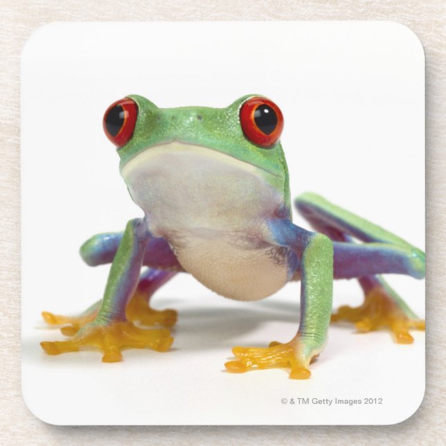 Female frog 2 coaster (Front)