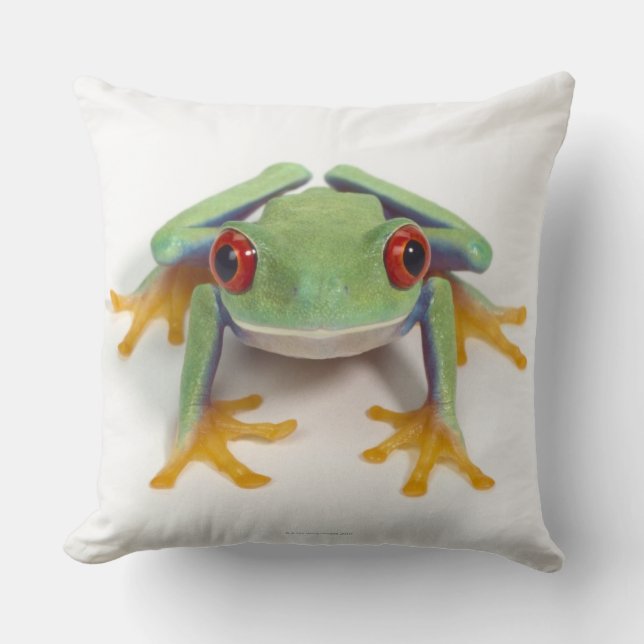 Female frog cushion (Front)