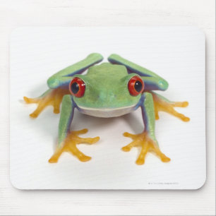 Female frog mouse mat