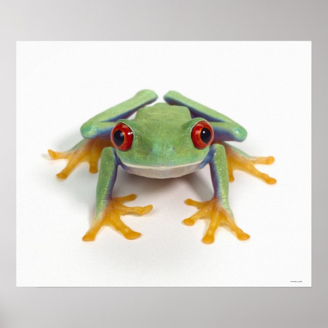 Female frog poster (Front)