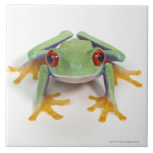 Female frog tile