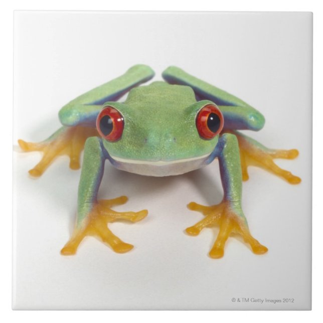 Female frog tile (Front)