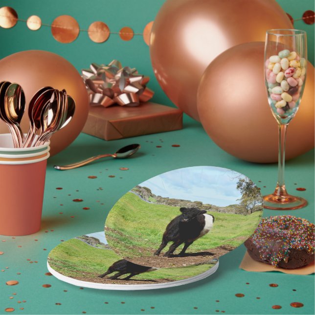Female Galloway Cow In Country, Paper Plates (Multi)