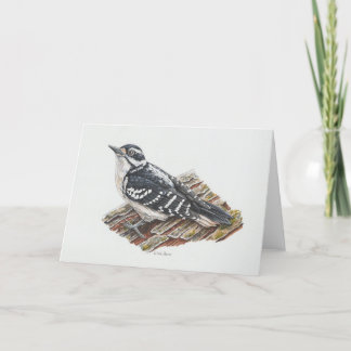 Female Hairy Woodpecker Art Card
