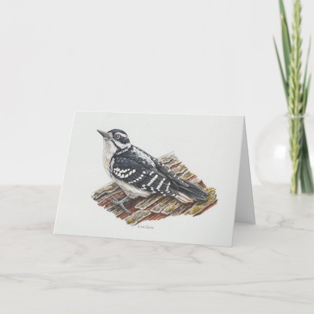 Female Hairy Woodpecker Art Card (Front)