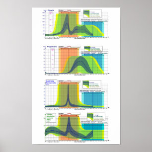 Female Hormones Menstrual Cycle Chart Poster