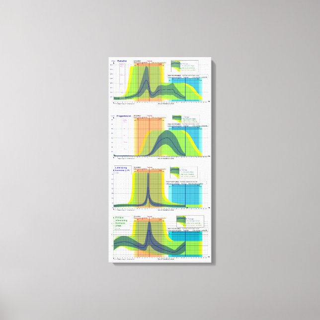 Female Hormones regulate Menstrual Cycle Chart Canvas Print (Front)