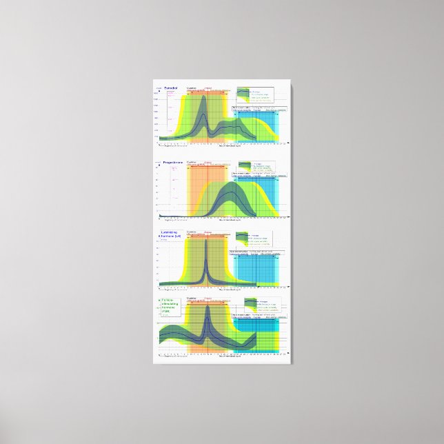 Female Hormones regulates Menstrual Cycle Chart Canvas Print (Front)