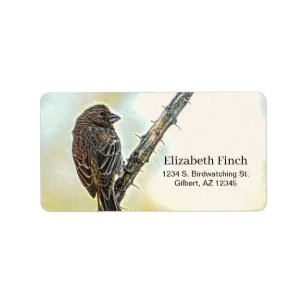 Female House Finch Bird Spiny Ocotillo Branch Label