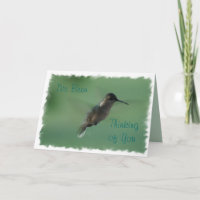 Female Hummingbird in Flight-any occasion