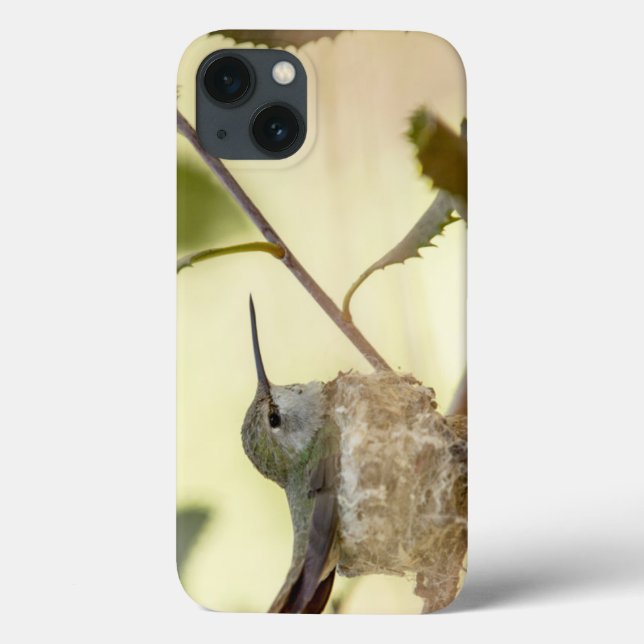 Female hummingbird on her nest Case-Mate iPhone case (Back)