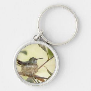 Female hummingbird on her nest key ring