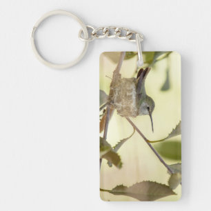 Female hummingbird on her nest key ring
