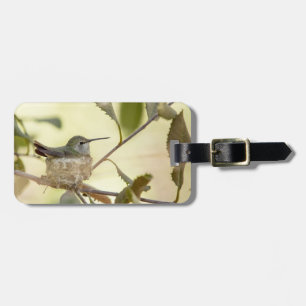 Female hummingbird on her nest luggage tag