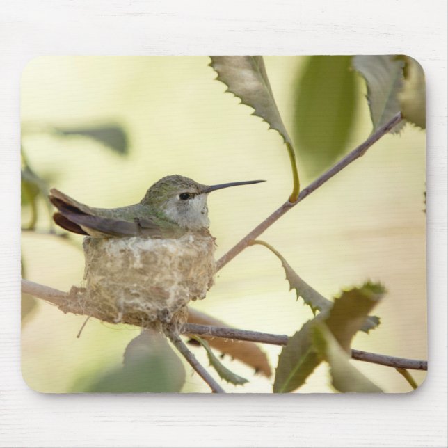 Female hummingbird on her nest mouse mat (Front)