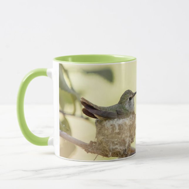 Female hummingbird on her nest mug (Left)