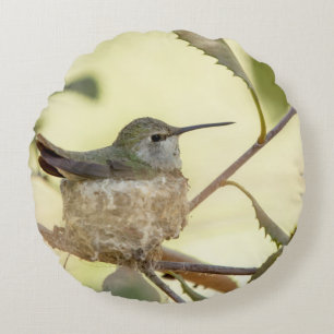 Female hummingbird on her nest round cushion