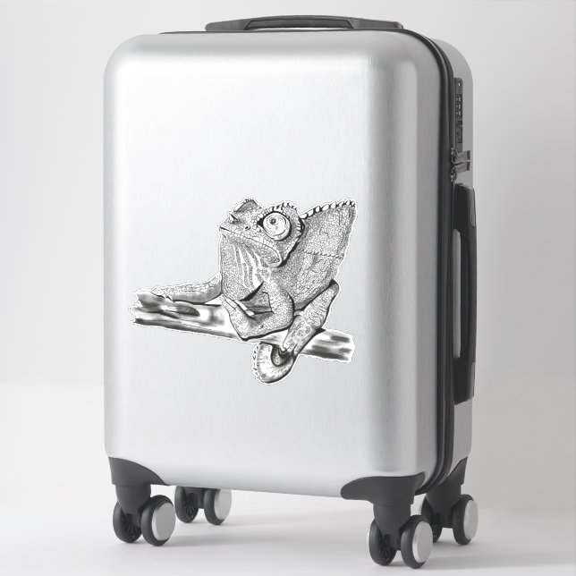 Female Jackson’s Chameleon  (Suitcase)