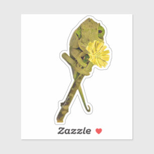 Female Jackson’s Chameleon  Sticker