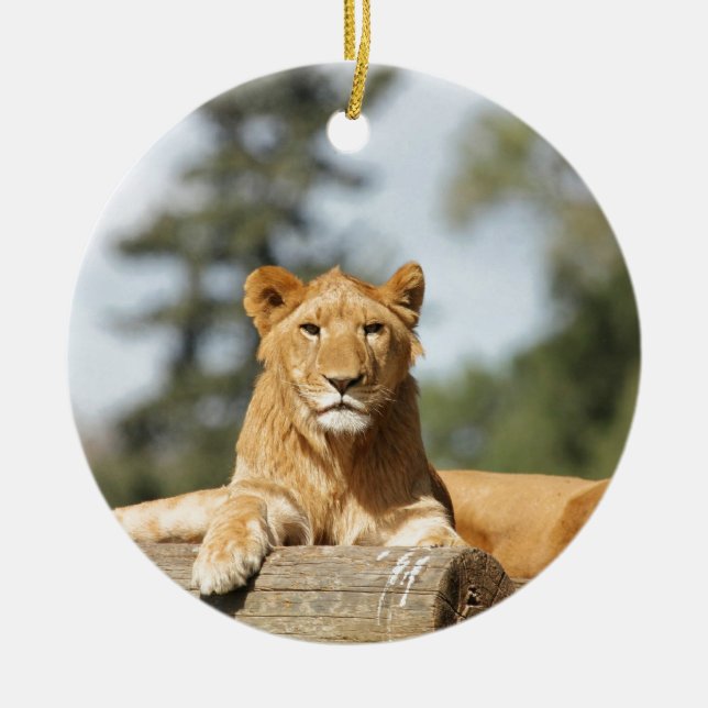 Female Lion Ceramic Tree Decoration (Front)