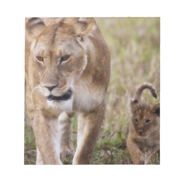 Female Lion with Cub Notepad (Front)