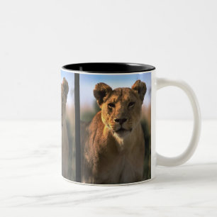 Female Lioness Lion Lovers Gifts Two-Tone Coffee Mug