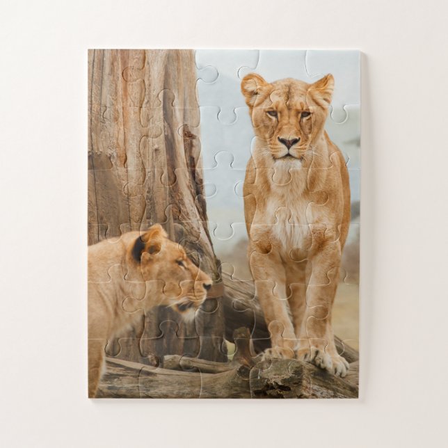 Female Lions Scouting at Dead Trees Jigsaw Puzzle (Vertical)