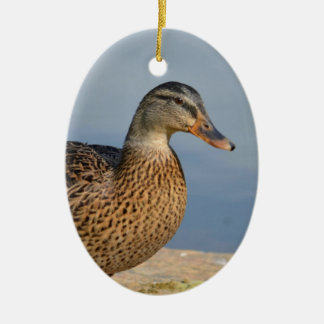 Female Mallard Duck Ceramic Tree Decoration